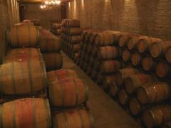 193-Wine Barrels-Santa Laura in Chile