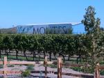 Chile Winery